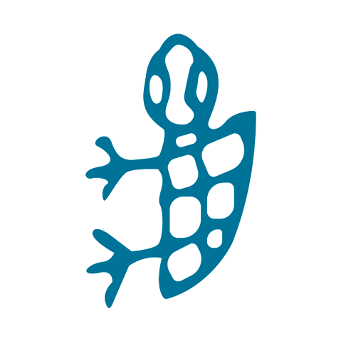 big-turtles-logo